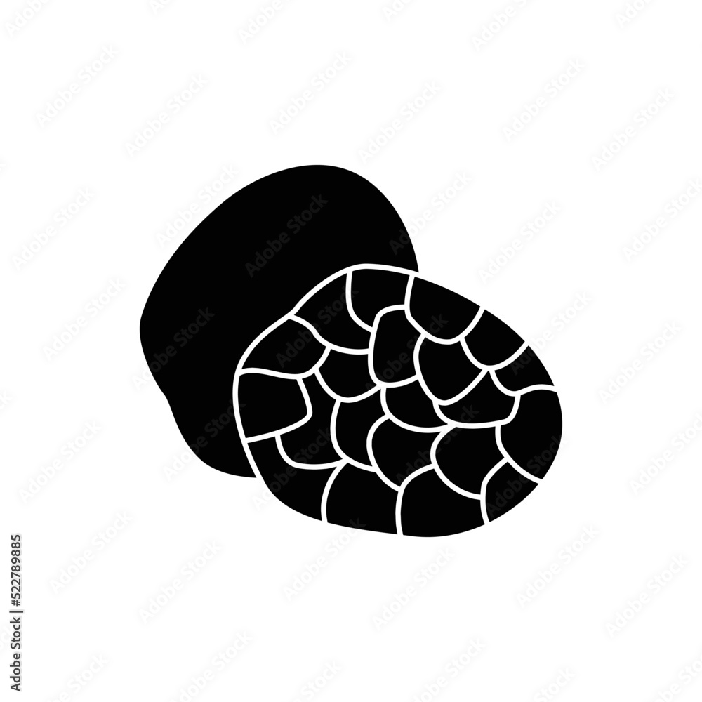 Truffle icon in black flat glyph, filled style isolated on white background Truffle icon in black flat glyph, filled style isolated on white background
