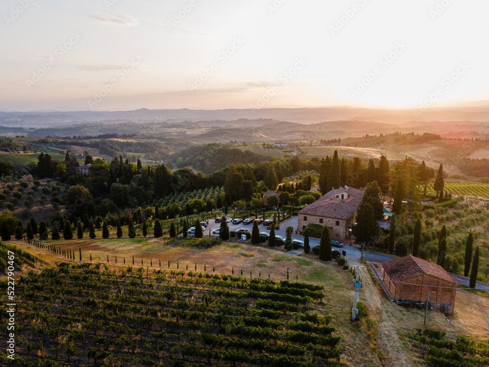 sunset over vineyard