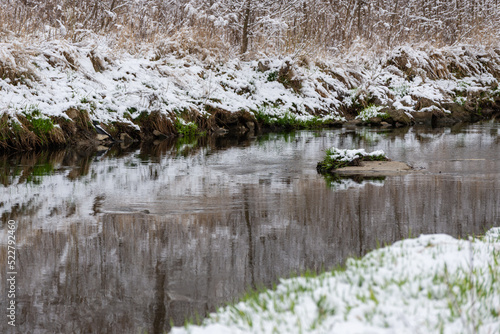 Bielsko-Biała, dopływ Wisły, wczesna wiosna, brzeg rzeki odbijający się w wodzie, śnieg, drzewa, woda, trawa (4).