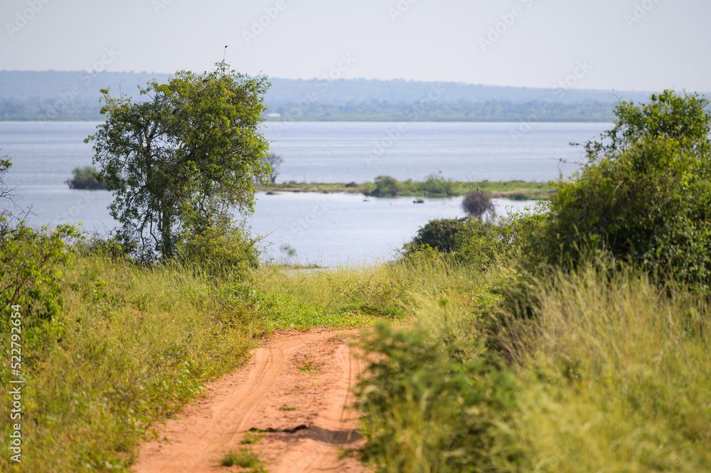 Small road in Murchinson National Park leading to the water Small road in Murchinson National Park leading to the water