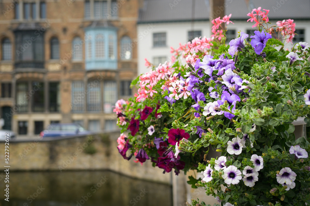 Beautiful flowers near a canal in Brugge