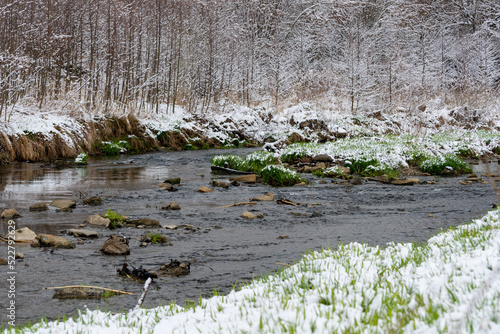 Bielsko-Biała, dopływ Wisły, wczesna wiosna, brzeg rzeki odbijający się w wodzie, śnieg, drzewa, woda, trawa (2).