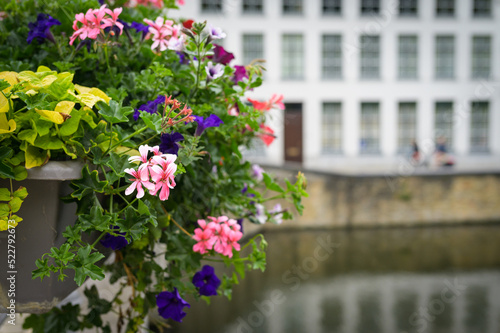 Beautiful flowers near a canal in Brugge © Stefan