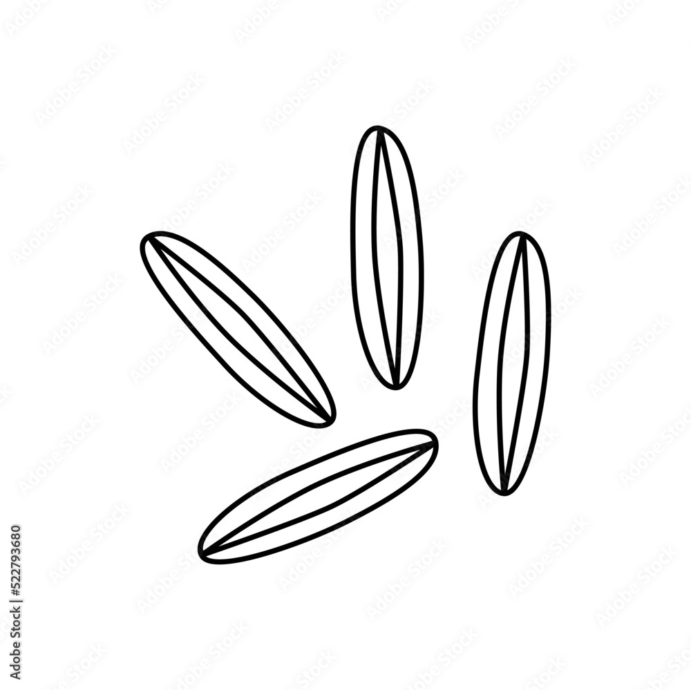 Caraway icon in line style icon, isolated on white background Caraway icon in line style icon, isolated on white background