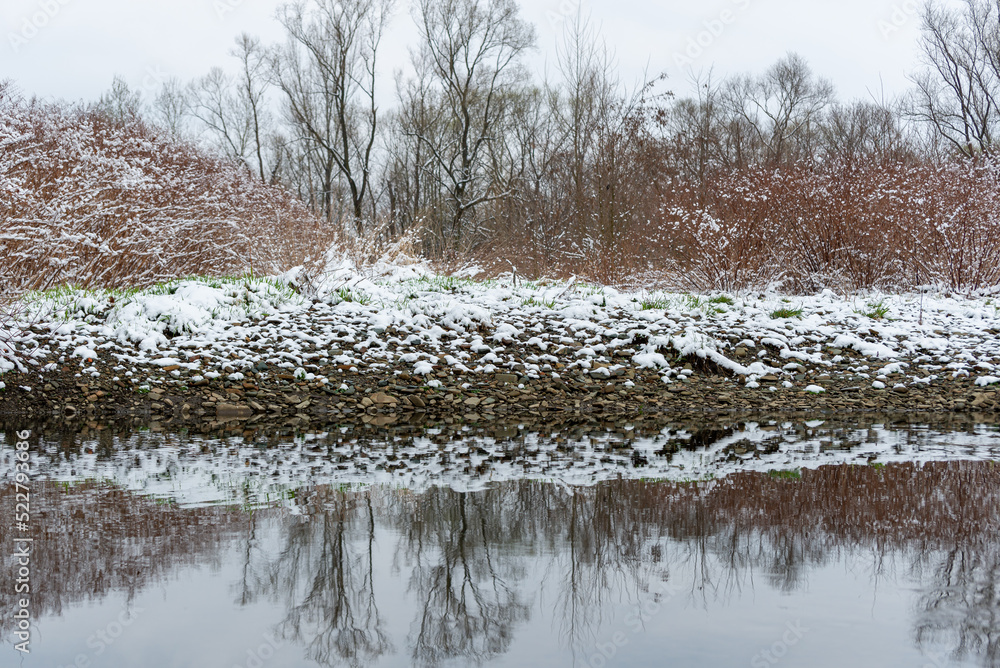Bielsko-Biała, dopływ Wisły, wczesna wiosna, brzeg rzeki odbijający się w wodzie, śnieg, drzewa, woda (3). - obrazy, fototapety, plakaty 