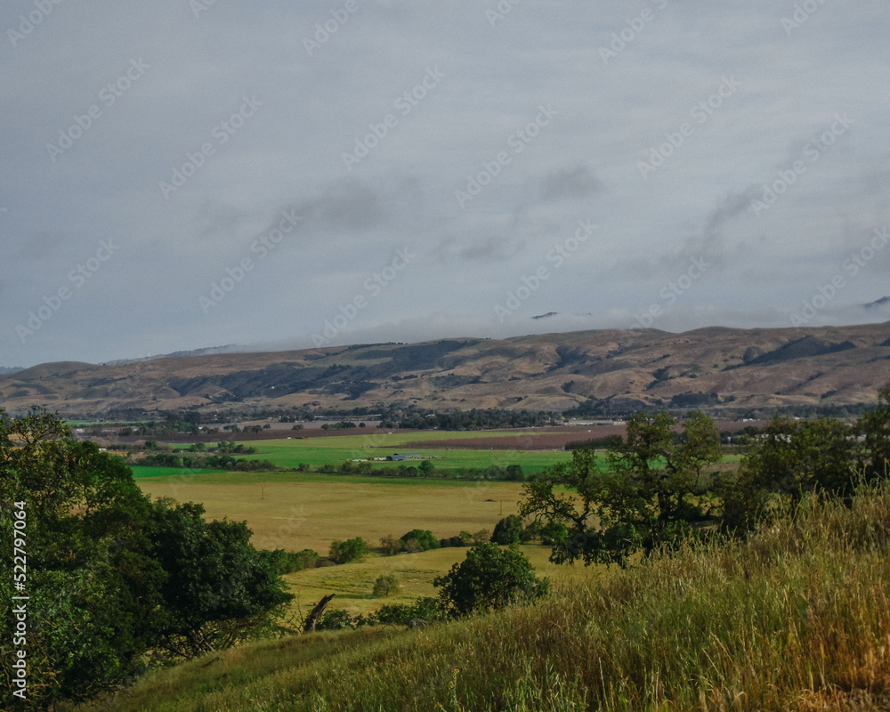 Obraz premium field landscape with grey sky