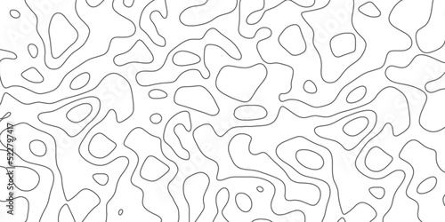 The stylized height of the topographic map  contour  lines. The concept of a conditional geography scheme and the terrain path. Design materials. Print image  Abstract background. Vector illustration