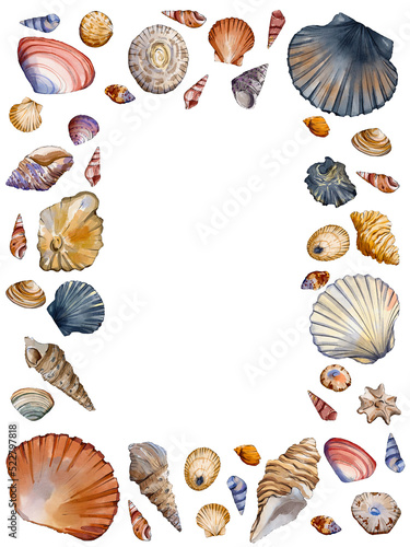 Seashell watercolor sea frames illustration isolated on white background. 