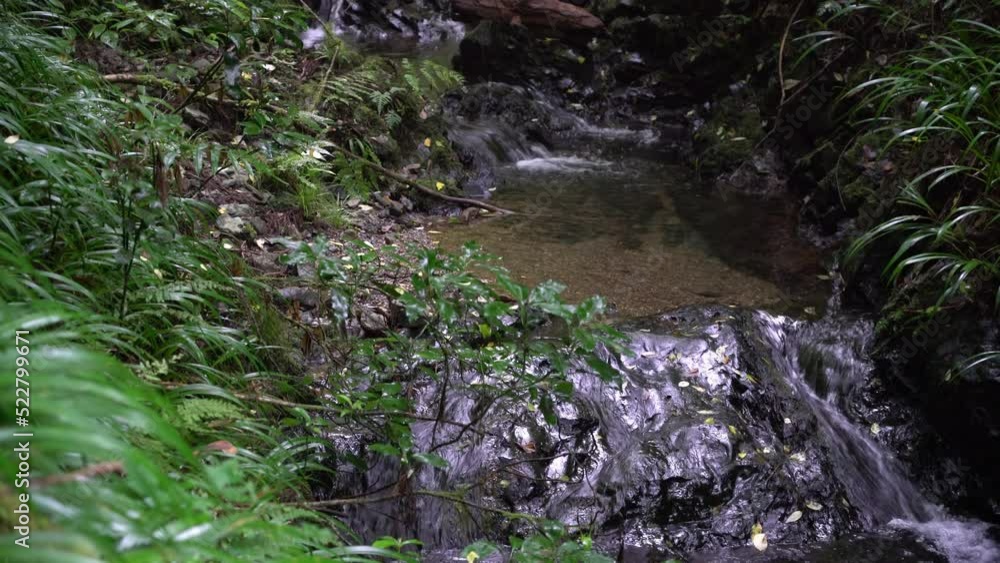 高尾山 6号路登山道の小川 高尾山 6号路登山道の小川