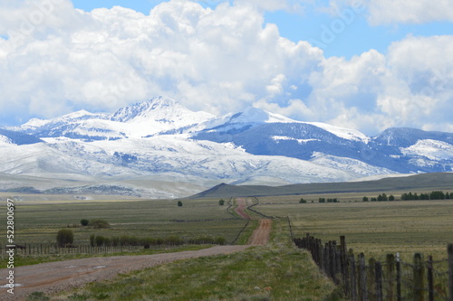 Montana Mountain Road in Spring