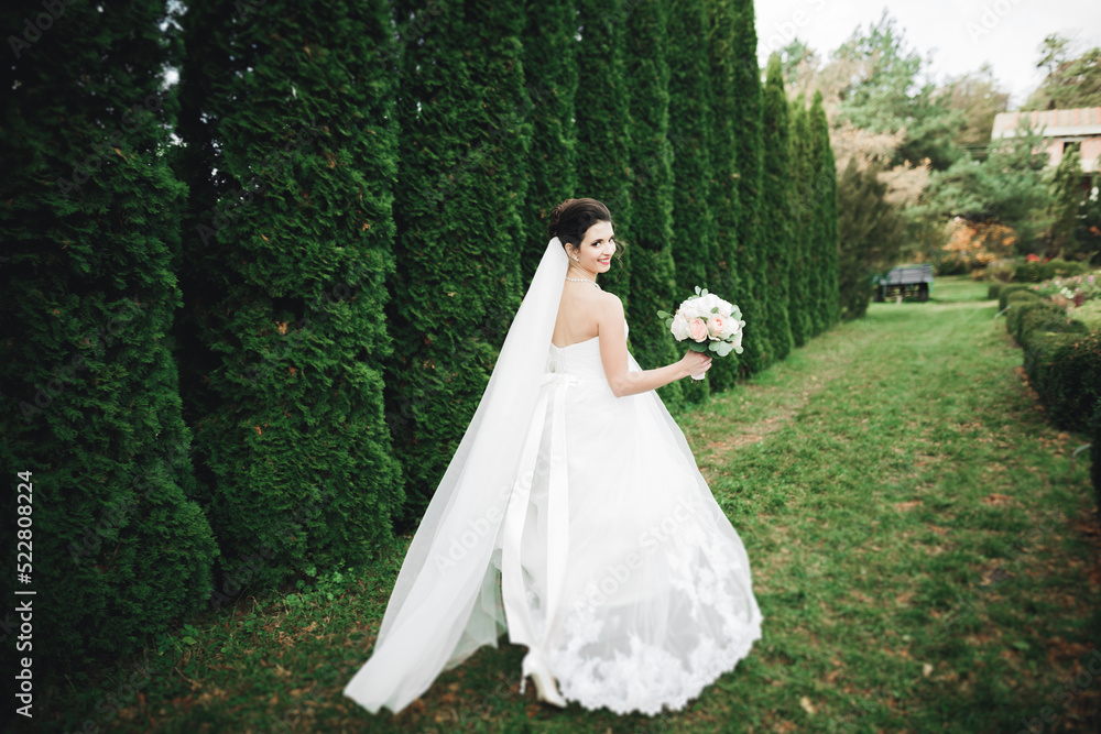 Portrait of a beautiful fashion bride, sweet and sensual. Wedding make up and hair Portrait of a beautiful fashion bride, sweet and sensual. Wedding make up and hair