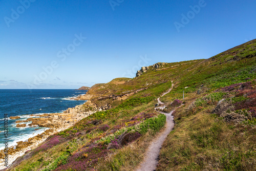 A view along the heather lined coastal path in west Cornwall with a blue sky overhead