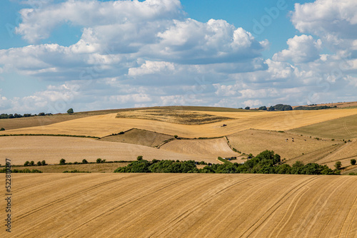 Fotografering Golden fields in the South Downs, during a hot, dry summer