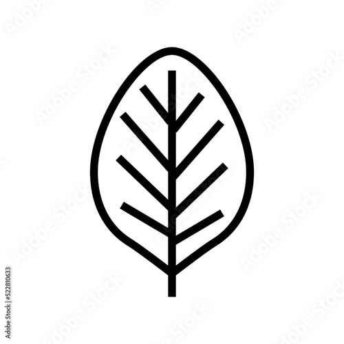 teak leaf line icon vector. teak leaf sign. isolated contour symbol black illustration