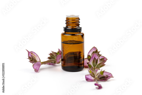 A bottle of essential oil with fresh blooming clary sage twigs on white background.