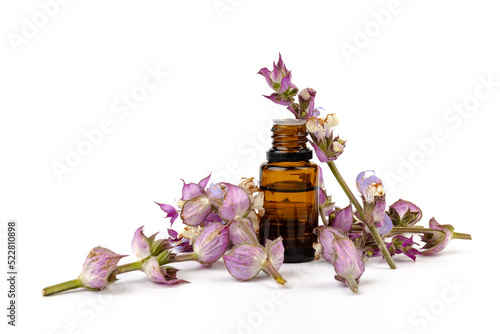 A bottle of essential oil with fresh blooming clary sage twigs on white background.