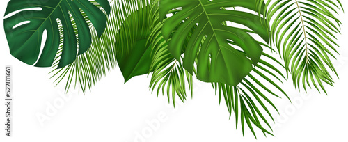 Summer tropical composition with green palm leaves
