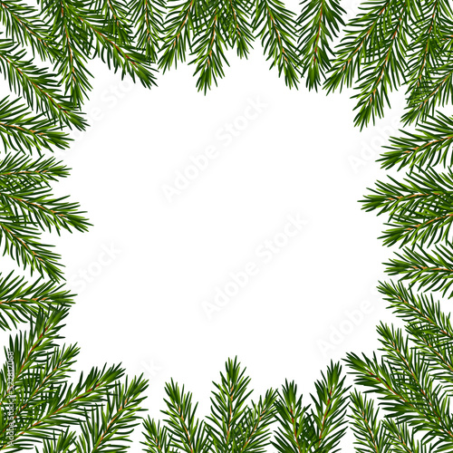 Christmas frame from fir tree branches