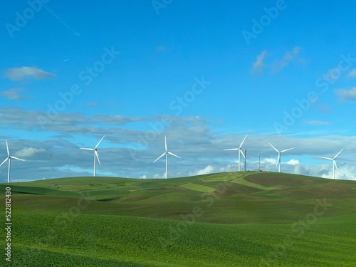 Washington hillside