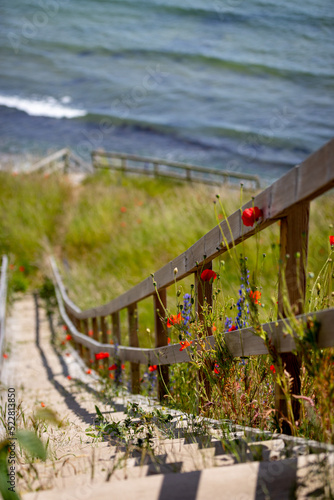 Tableau sur toile stairway to the sea