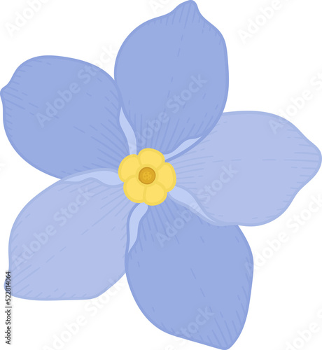 Blue forget me not flower hand drawn illustration.
