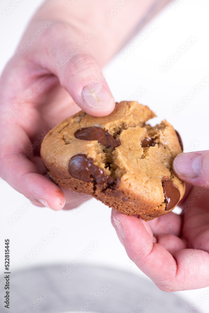 hands holding cookie hands holding cookie