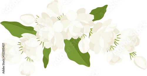 Bouquet of jasmine flower illustration. © suwi19