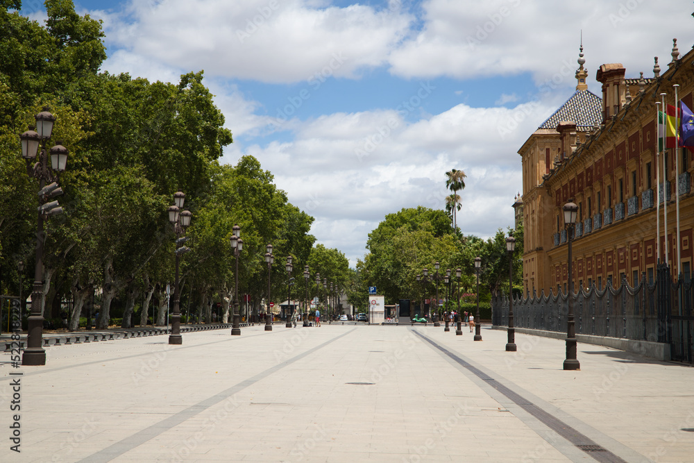 Naklejka premium Deserted avenue in summer in seville at three o'clock in the afternoon because it is too hot.