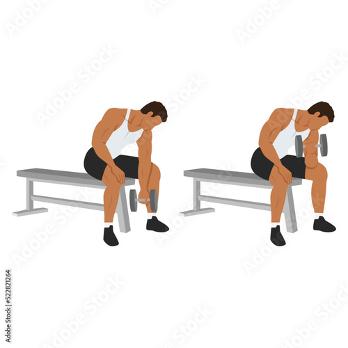 Man doing Dumbbell concentration curl. Flat vector illustration isolated on different layers. Workout character