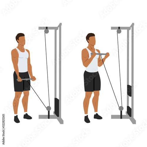Man doing Straight bar low pulley cable curl. Flat vector illustration isolated on different layers. Workout character