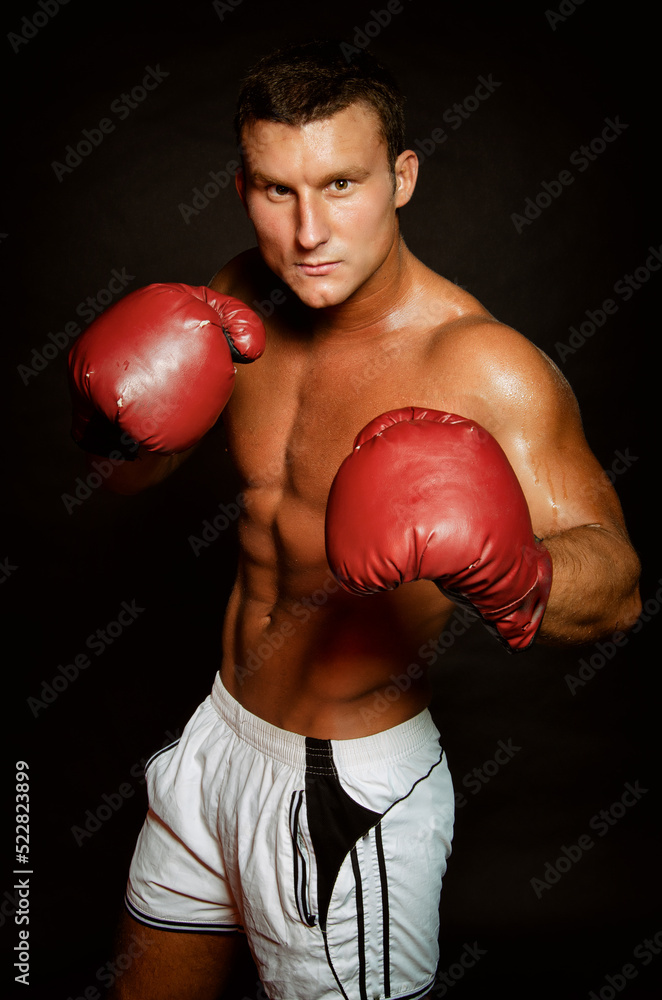 Young attractive boxer posing in the studio.
Young attractive boxer posing in the studio.