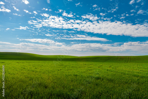 Green Field and Beautiful Sunset