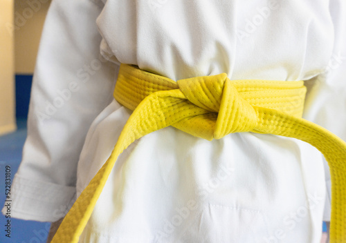yellow belt taekwondo martial arts