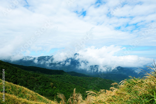 Mountains scape at Yangmingshan National Park & Hot Springs in Taiwan in Winter, Sunny day and blue sky, Beautiful Natural View in Taiwan