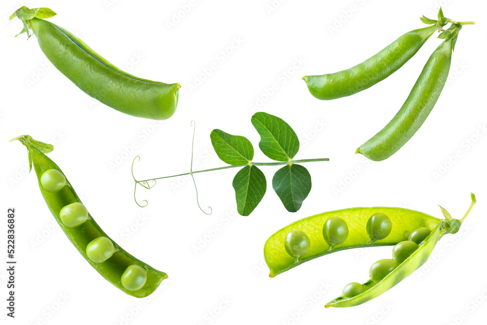 Set of green peas isolated on white background. Set of green peas isolated on white background.