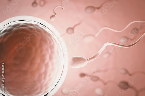 Many sperm swimming towards the egg in a blue background. Pink color theme 3D Illustration Rendering. photo