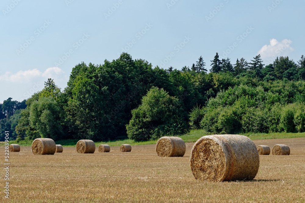 Bales of straw on a field in Bavaria are waiting to be picked up    