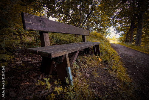 Holzbank im Wald 