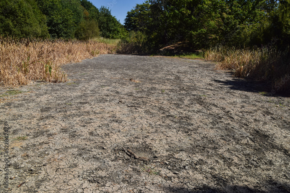 Fototapeta premium A completely dry pond in a London park during a drought.