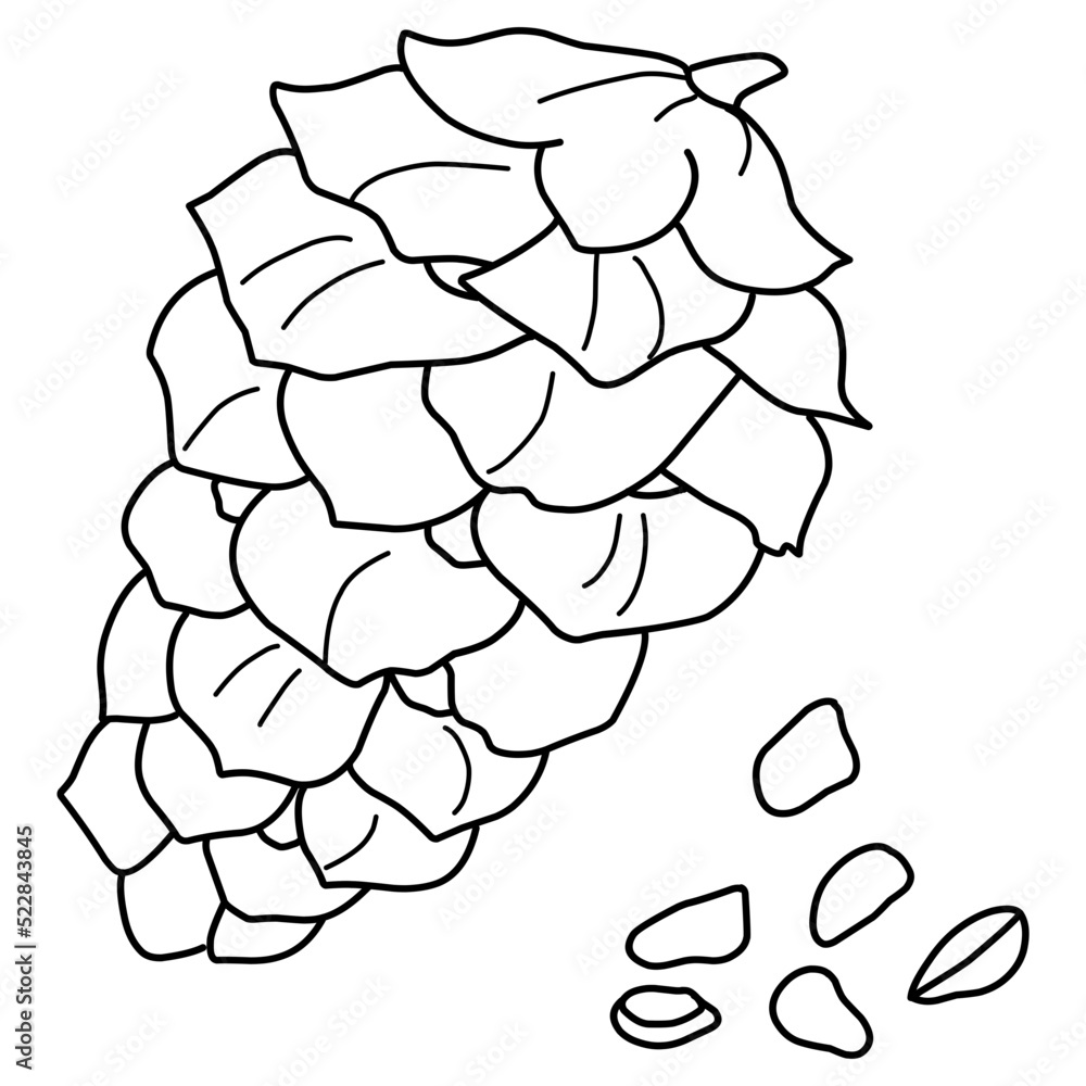 Spruce cone with nuts illustration. Hand-drawn doodles illustration.
Line art. Icon Spruce cone with nuts illustration. Hand-drawn doodles illustration.
Line art. Icon