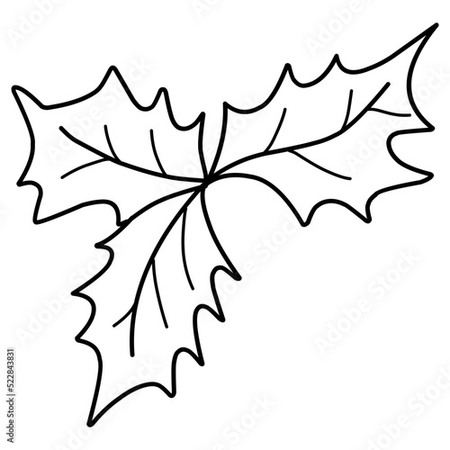 Decorative leaves illustration. Hand-drawn doodles illustration. Line art. Icon