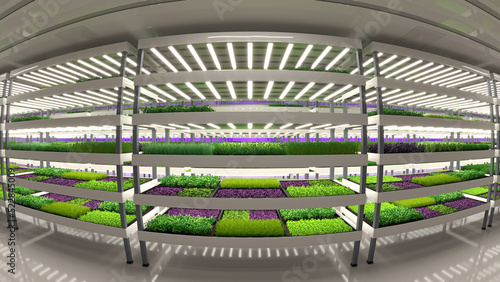 Indoor vertical farm. Hydroponic microgreens plant factory. Plants grow with led lights. Sustainable agriculture for future food. 3d illustration.