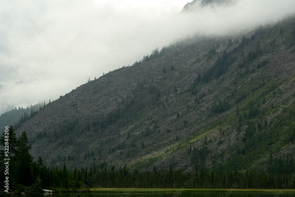 Dense fog in the mountain valley of the Katunsky Reserve Altai Dense fog in the mountain valley of the Katunsky Reserve Altai