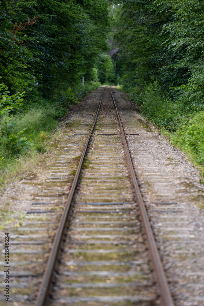 Looking down a straight old railway line though a forest.