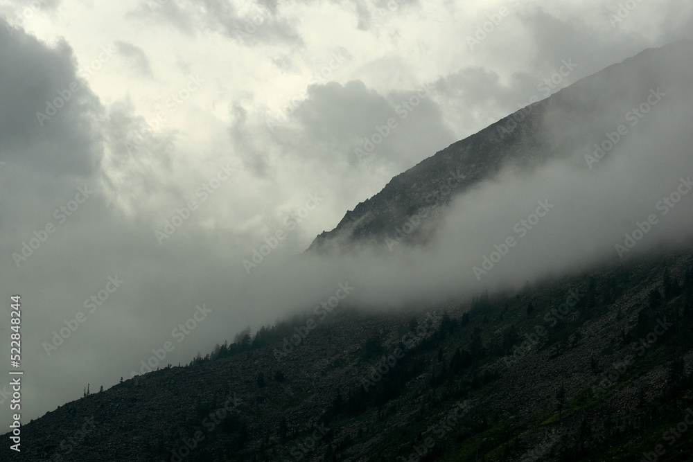 Dense fog in the mountain valley of the Katunsky Reserve Altai