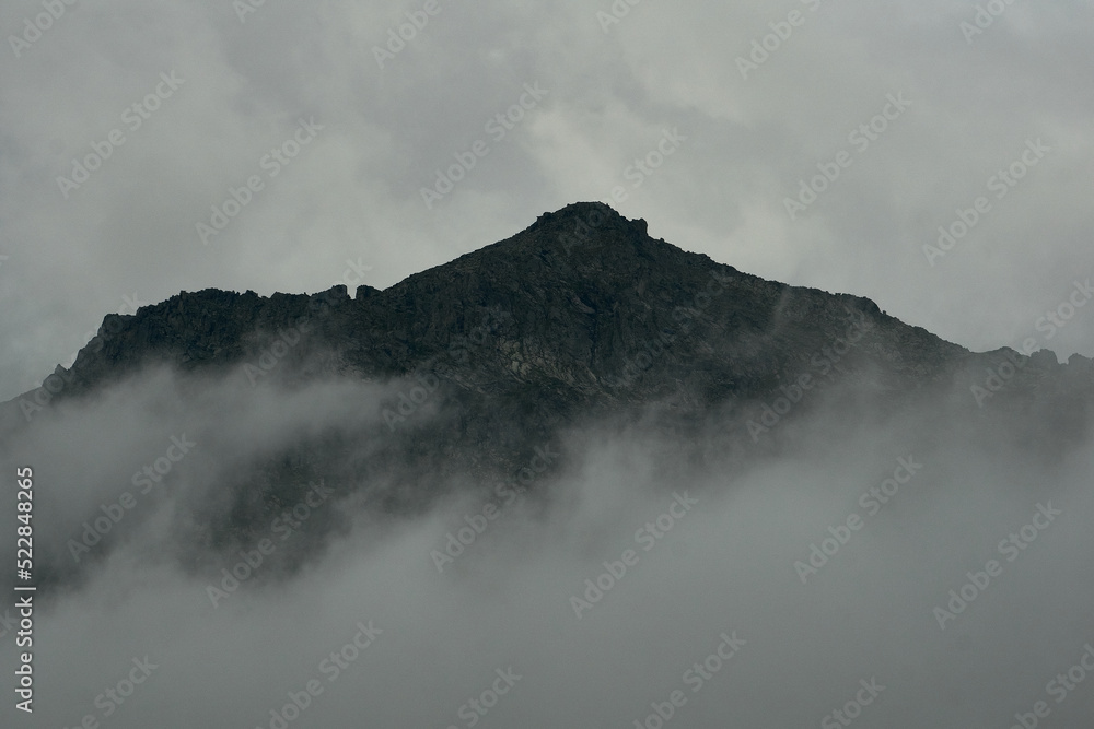 Dense fog in the mountain valley of the Katunsky Reserve Altai