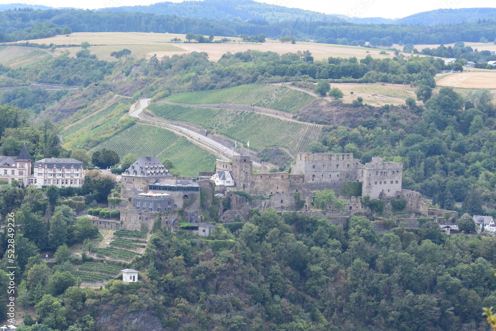 Festung Rheinfels, Burguine