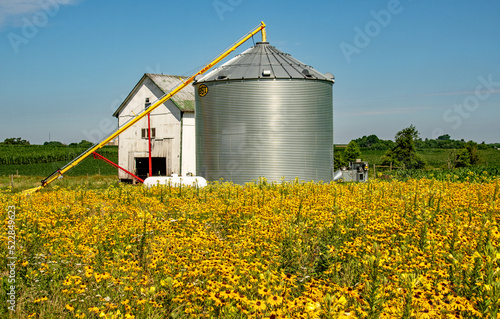 Grain Silo surrounded by Black Eyed Susans in Lancaster County, PA 