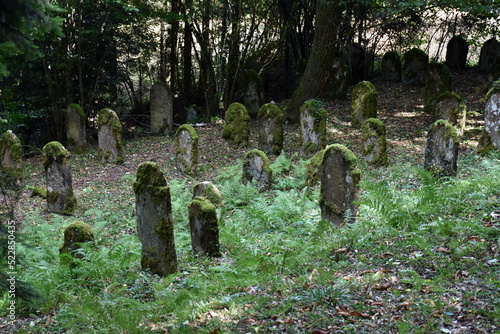 Jüdischer Friedhof in Sulzburg im Sommer