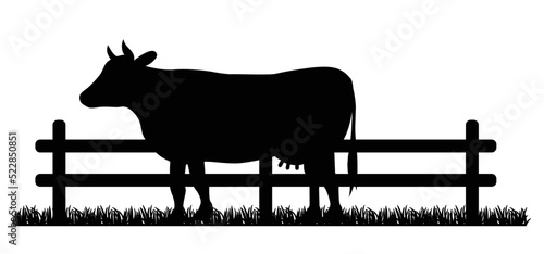 Cartoon drawing black cow and taurus or bull. Vector cow silhouette. farm animals. Cattle icon or pictogram. Farmer ranch. Wooden fence paddock.